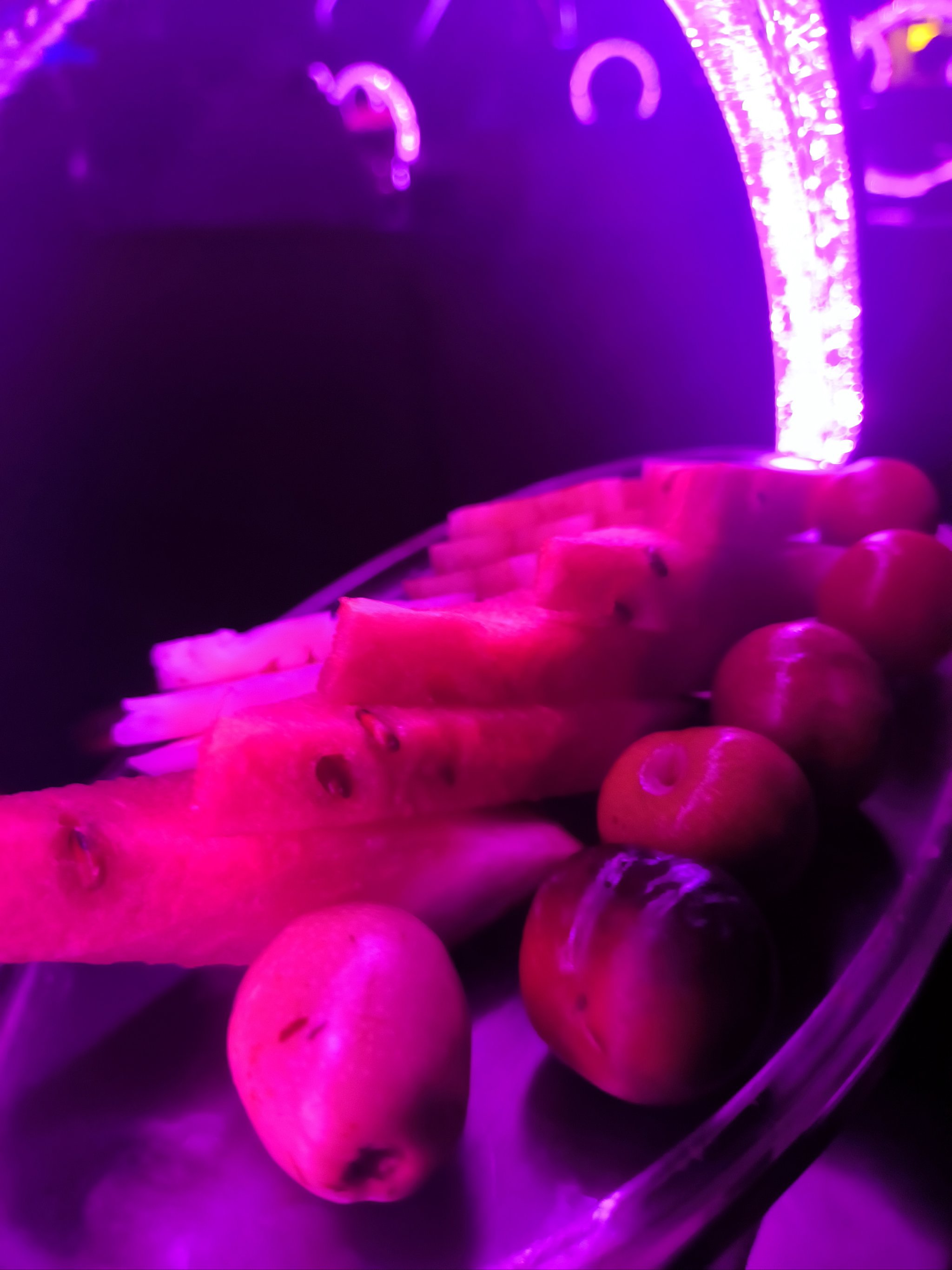 遵义商务ktv探访：低端场商务ktv地下不为人知-汇川区ktv预定